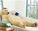 Polar bears even read! 