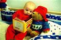 Babies and bears read. 